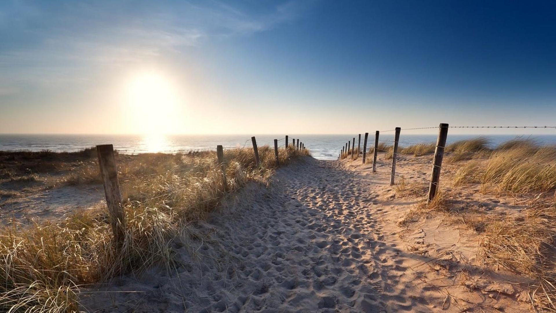 Sunny Dunes Zandvoort Ngoại thất bức ảnh